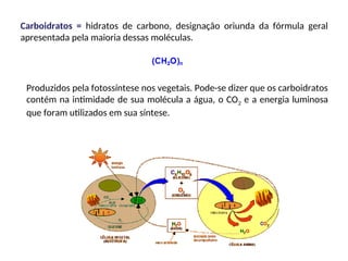 Carboidratos = hidratos de carbono, designação oriunda da fórmula geral
apresentada pela maioria dessas moléculas.
Produzidos pela fotossíntese nos vegetais. Pode-se dizer que os carboidratos
contém na intimidade de sua molécula a água, o CO2 e a energia luminosa
que foram utilizados em sua síntese.
 