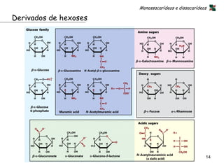 Monossacarídeos e dissacarídeos

Derivados de hexoses




                                                     14
 
