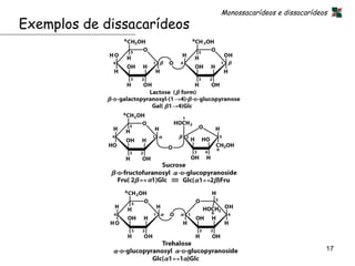 Monossacarídeos e dissacarídeos
Exemplos de dissacarídeos




                                                          17
 