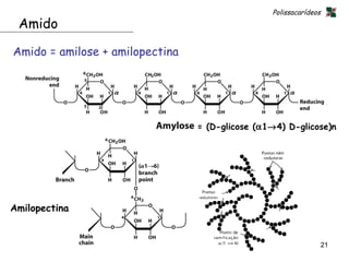 Polissacarídeos
 Amido

Amido = amilose + amilopectina




                                 = (D-glicose (α1→4) D-glicose)n




Amilopectina


                                                                   21
 