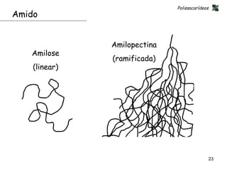 Polissacarídeos
Amido


               Amilopectina
   Amilose
               (ramificada)
    (linear)




                                                23
 