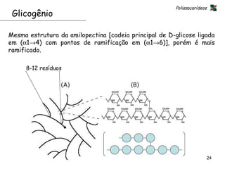 Polissacarídeos
 Glicogênio

Mesma estrutura da amilopectina [cadeia principal de D-glicose ligada
em (α1→4) com pontos de ramificação em (α1→6)], porém é mais
ramificado.

     8-12 resíduos




                                                                         24
 