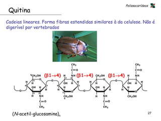 Polissacarídeos
 Quitina
Cadeias lineares. Forma fibras estendidas similares à da celulose. Não é
digerível por vertebrados




                  (β1→4)          (β1→4)         (β1→4)




   (N-acetil-glucosamina)n                                                  27
 