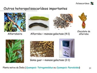 Polissacarídeos

Outros heteropolissacarídeos importantes




                                                                       Chocolate de
    Alfarrobeira          Alfarroba = manose:galactose (4:1)            alfarroba




                          Goma guar = manose:galactose (2:1)


Planta nativa da Índia (Cyamopsis Tetragonolobus ou Cyamopsis Psoraloides)              31
 