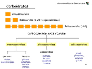 Monossacarídeos e dissacarídeos
     Carboidratos

            monossacarídeo

                  Dissacarídeo (2-20 = oligossacarídeo)

                                                             Polissacarídeo (> 20)


                         CARBOIDRATOS MAIS COMUNS



      monossacarídeos             oligossacarídeos                  polissacarídeos


                                     dissacarídeos
                                                                         amido,
 pentoses           hexoses            maltose,                        glicogênio,
                                       lactose,                         celulose
   ribose,          glicose,                                             quitina
                                       sacarose
desoxirribose      galactose,
                                       trealose
                    frutose                                                            6
                    manose
 