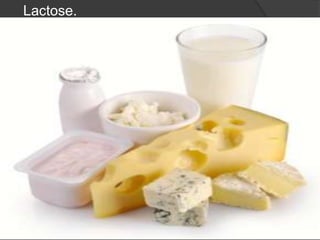 Lactose.
 