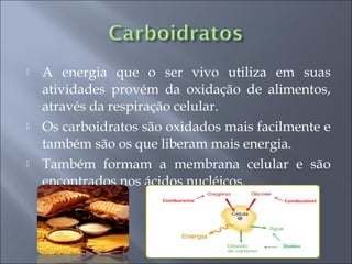    A energia que o ser vivo utiliza em suas
    atividades provém da oxidação de alimentos,
    através da respiração celular.
   Os carboidratos são oxidados mais facilmente e
    também são os que liberam mais energia.
   Também formam a membrana celular e são
    encontrados nos ácidos nucléicos.
 