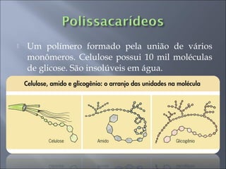    Um polímero formado pela união de vários
    monômeros. Celulose possui 10 mil moléculas
    de glicose. São insolúveis em água.
 