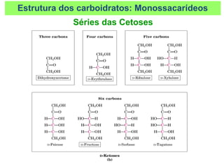 Estrutura dos carboidratos: Monossacarídeos
Séries das Cetoses
 