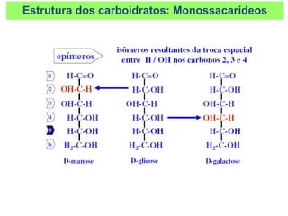 Estrutura dos carboidratos: Monossacarídeos
 