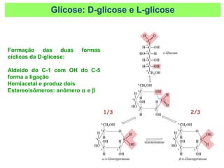 2/31/3
Formação das duas formas
cíclicas da D-glicose:
Aldeído do C-1 com OH do C-5
forma a ligação
Hemiacetal e produz dois
Estereoisômeros: anômero α e β
Glicose: D-glicose e L-glicose
 
