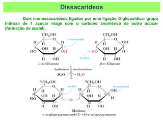 Dois monossacarídeos ligados por uma ligação O-glicosídica: grupo
hidroxil de 1 açúcar reage com o carbono anomérico de outro acúcar
(formação de acetal).
Dissacarídeos
 