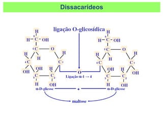 Dissacarídeos
 