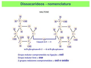 Dissacarídeos - nomenclatura
 