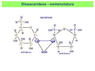 Dissacarídeos - nomenclatura
 
