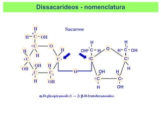 Dissacarídeos - nomenclatura
 