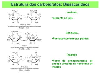 Lactose:
•presente no leite
Sacarose:
•Formado somente por plantas
Trealose:
•Fonte de armazenamento de
energia presente na hemolinfa de
insetos
Estrutura dos carboidratos: Dissacarídeos
 