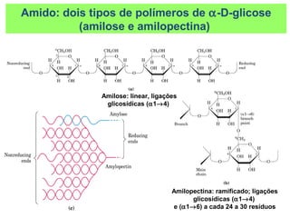 Amilose: linear, ligações
glicosídicas (α1→4)
Amilopectina: ramificado; ligações
glicosídicas (α1→4)
e (α1→6) a cada 24 a 30 resíduos
Amido: dois tipos de polímeros de α-D-glicose
(amilose e amilopectina)
 