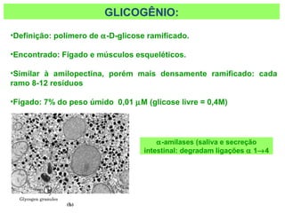 GLICOGÊNIO:
•Definição: polímero de α-D-glicose ramificado.
•Encontrado: Fígado e músculos esqueléticos.
•Similar à amilopectina, porém mais densamente ramificado: cada
ramo 8-12 resíduos
•Fígado: 7% do peso úmido 0,01 µM (glicose livre = 0,4M)
α-amilases (saliva e secreção
intestinal: degradam ligações α 1→4
 