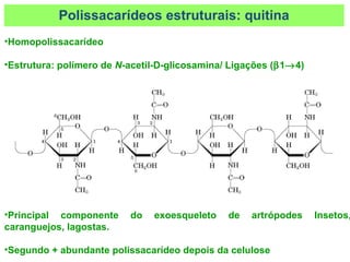 •Homopolissacarídeo
•Estrutura: polímero de N-acetil-D-glicosamina/ Ligações (β1→4)
•Principal componente do exoesqueleto de artrópodes Insetos,
caranguejos, lagostas.
•Segundo + abundante polissacarídeo depois da celulose
Polissacarídeos estruturais: quitina
 