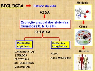 BIOLOGIA Estudo da vida VIDA Evolução gradual dos sistemas Químicos ( C, N, O e H) QUÍMICA Moléculas orgânicas  Moléculas inorgânicas   VITAMINAS PROTEINAS LIPÍDIOS CARBOIDRATOS AC. NUCLEICOS ÁGUA SAIS MINERAIS Molécula Célula Ser vivo 