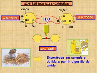 SÍNTESE DOS DISSACARÍDEOS    GLICOSE    GLICOSE MALTOSE Encontrada em cereais e obtida a partir digestão do amido H 2 O OH H CH 2 OH OH H H OH H H H HO CH 2 OH OH H H OH H H OH H O 