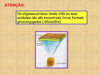 Os oligossacarídeos tendo três ou mais unidades não são encontrado livres formam  glicoconjugados ( Glicocálix). ATENÇÃO: 