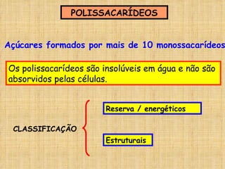 Açúcares formados por mais de 10 monossacarídeos POLISSACARÍDEOS Os polissacarídeos são insolúveis em água e não são absorvidos pelas células.  CLASSIFICAÇÃO Reserva / energéticos Estruturais 