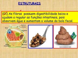ESTRUTURAIS CELULOSE COMPOSIÇÃO DA PAREDE CELULAR DOS VEGETAIS. (01) As fibras  possuem digestibilidade baixa e ajudam a regular as funções intestinais, pois absorvem água e aumentam o volume do bolo fecal. 