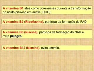 A vitamina B1  atua como co-enzimas durante a transformação do ácido pirúvico em acetil ( DOP). A vitamina B2 (Riboflavina) ,   participa da formação do FAD A vitamina B3 (Niacina) ,   participa da formação do NAD e evita  pelagra. A vitamina B12 (Niacina) ,   evita anemia. 