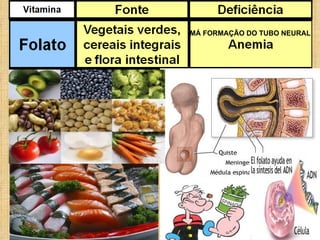 MÁ FORMAÇÃO DO TUBO NEURAL  