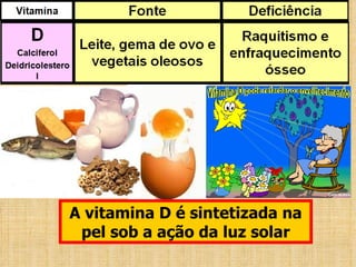 A vitamina D é sintetizada na pel sob a ação da luz solar 