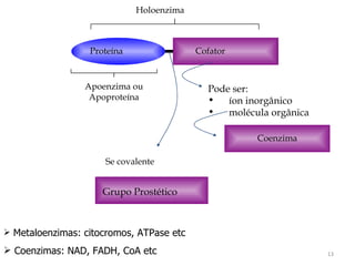 Metaloenzimas: citocromos, ATPase etc Coenzimas: NAD, FADH, CoA etc Holoenzima Proteína Apoenzima ou Apoproteína Cofator Pode ser: íon inorgânico molécula orgânica Se covalente Coenzima Grupo Prostético 