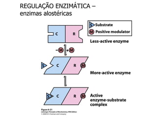 REGULAÇÃO ENZIMÁTICA – enzimas alostéricas  