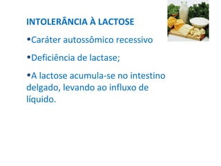 INTOLERÂNCIA À LACTOSE Caráter autossômico recessivo Deficiência de lactase; A lactose acumula-se no intestino delgado, levando ao influxo de líquido. 