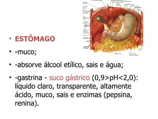 ESTÔMAGO  -muco; -absorve álcool etílico, sais e água; -gastrina -  suco gástrico  (0,9>pH<2,0): líquido claro, transparente, altamente ácido, muco, sais e enzimas (pepsina, renina). 