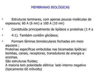 MEMBRANAS BIOLÓGICAS Estruturas laminares, com apenas poucas moléculas de espessura; 60 A (6 nm) a 100 A (10 nm) Constituída principalmente de lipídeos e proteínas (1:4 a  4:1). Também contêm glicídeos; Formam lâminas bimoleculares fechadas em meio aquosos ; Proteínas específicas embutidas nas bicamadas lipídicas: bombas, canais, receptores, transdutores de energia e enzimas. São estruturas fluidas; A maioria tem polaridade elétrica: lado interno negativo (tipicamente 60 milivolts) 
