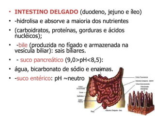 INTESTINO DELGADO  (duodeno, jejuno e íleo) -hidrolisa e absorve a maioria dos nutrientes (carboidratos, proteínas, gorduras e ácidos nucléicos); - bile  (produzida no fígado e armazenada na vesícula biliar): sais biliares. -  suco pancreático  (9,0>pH<8,5):  água, bicarbonato de sódio e enzimas. - suco entérico : pH  ~neutro 
