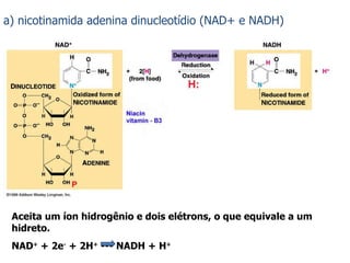 a) nicotinamida adenina dinucleotídio (NAD+ e NADH) Aceita um íon hidrogênio e dois elétrons, o que equivale a um hidreto. NAD +  + 2e -  + 2H +  --- NADH + H + 