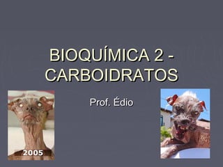BIOQUÍMICA 2 -
CARBOIDRATOS
    Prof. Édio
 