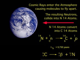 T  ½ t  ½   = 5,730 years 