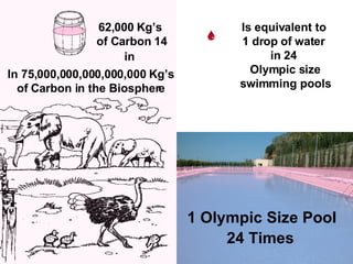 1 Olympic Size Pool   24 Times 62,000 Kg’s  of Carbon 14 In 75,000,000,000,000,000 Kg’s of Carbon in the Biosphere in Is equivalent to  1 drop of water  in 24  Olympic size swimming pools 