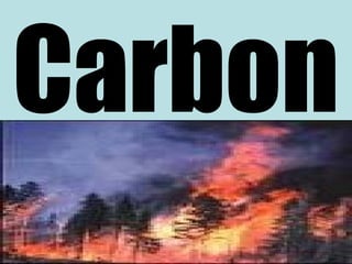 Carbon 
 