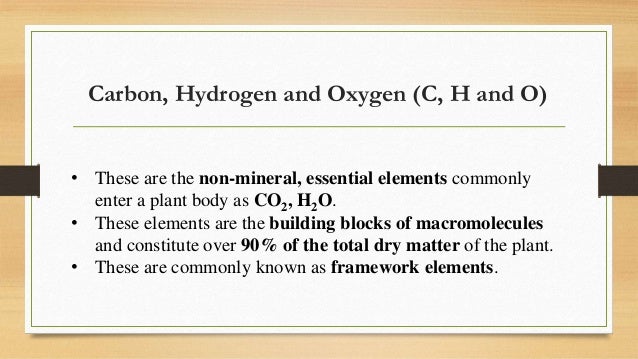 Carbon Role in Plants