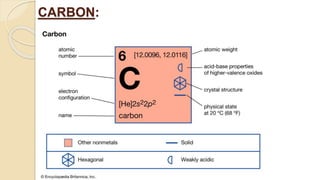 Carbon | PPTX