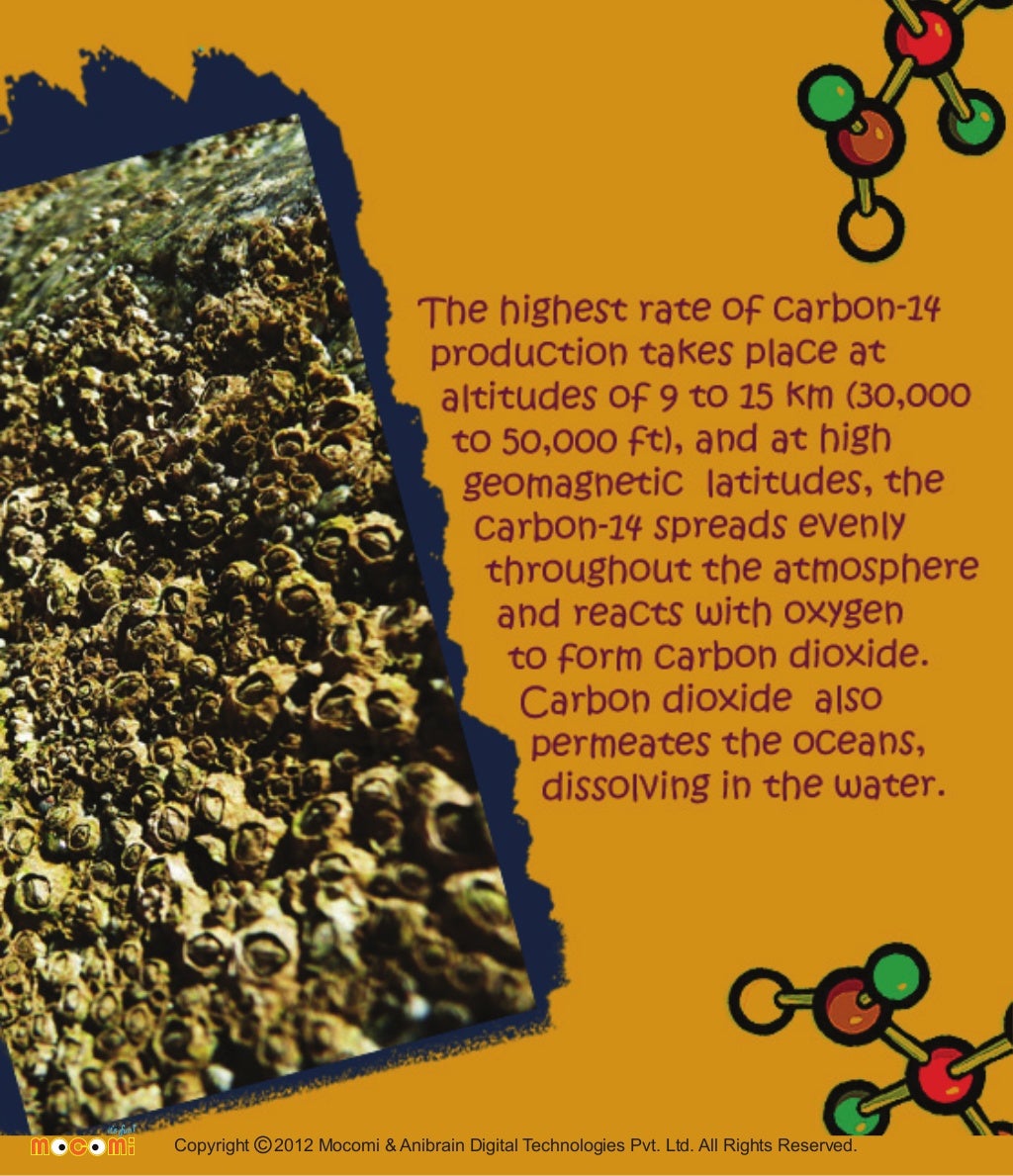 Carbon Dating Facts - Mocomi.com