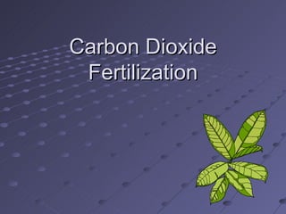 Carbon Dioxide Fertilization 