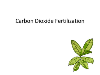 Carbon Dioxide Fertilization 