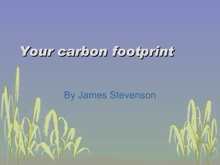 Your carbon footprint By James Stevenson 