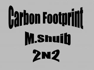 Carbon Footprint M.Shuib 2N2 